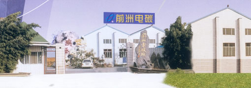 中强电碳有限公司厂景